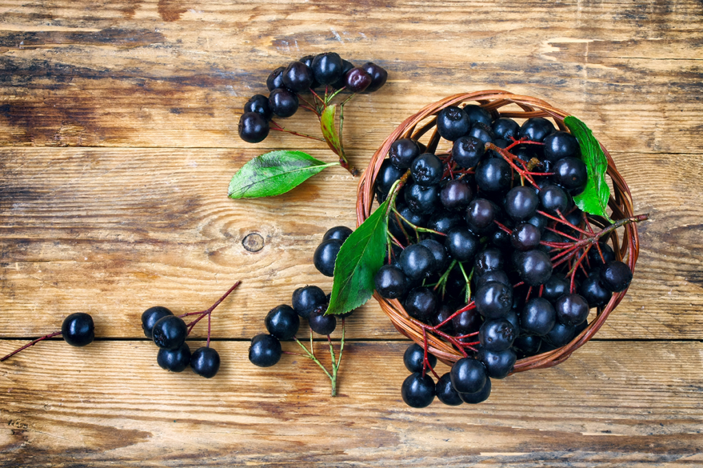 Aronia berries used in Clarity Prebiotic Blend